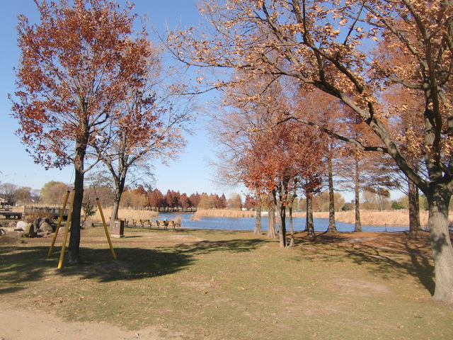 その他　舎人公園（その他）まで2323m