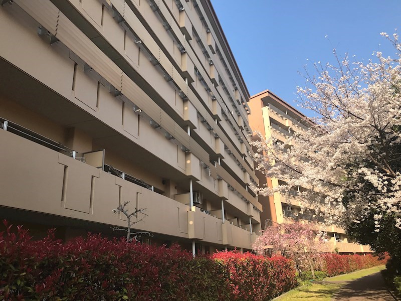庭