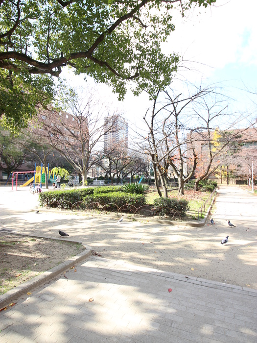 公園　公園（公園）まで370m