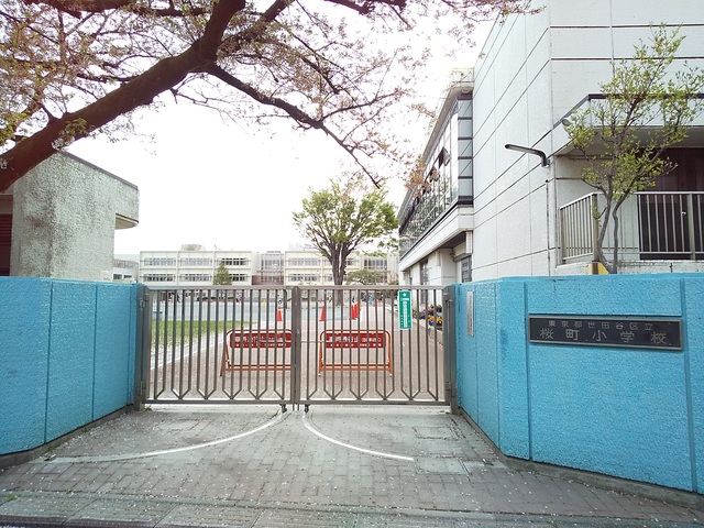 小学校　世田谷区立桜町小学校（小学校）まで220m