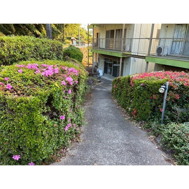 庭