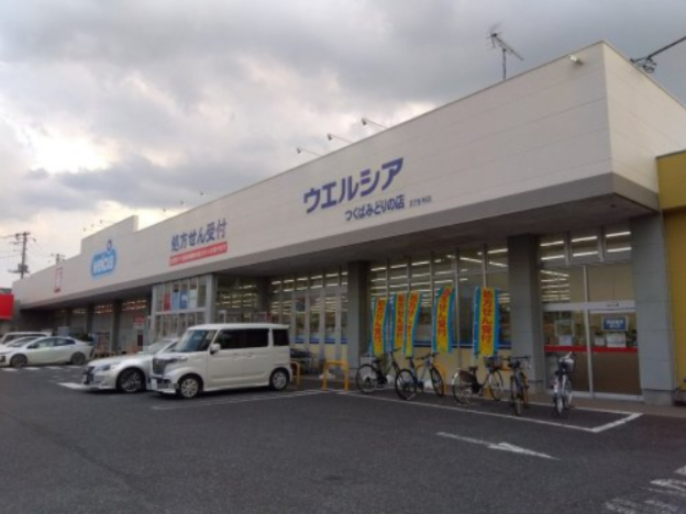 ドラックストア　ウエルシアつくばみどりの店（ドラッグストア）まで253m
