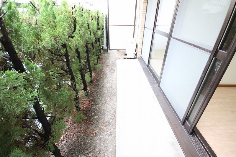 庭　お庭が付いています