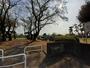 公園　大利根中央公園（公園）まで70m