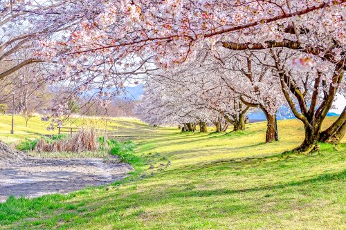 公園　信玄堤公園（公園）まで1552m