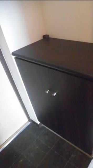 玄関　同仕様タイプ