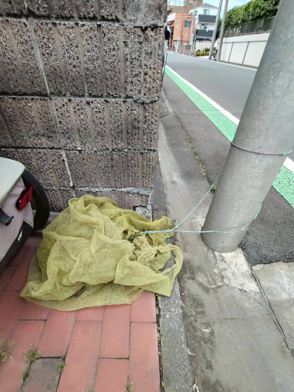 その他共有部分　通勤の際に捨てられます♪