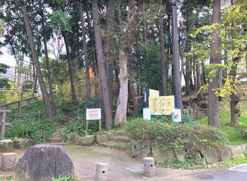 西武池袋線 練馬高野台駅 徒歩13分 2階建 築3年のその他写真