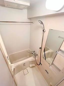 バス・シャワールーム　落ち着いた空間のお風呂です