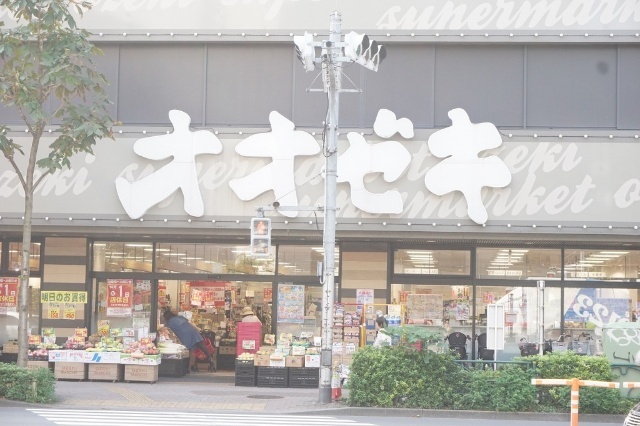 スーパー　スーパーオオゼキ練馬店（スーパー）まで450m