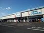 ドラックストア　カワチ薬品自治医大店（ドラッグストア）まで1327m