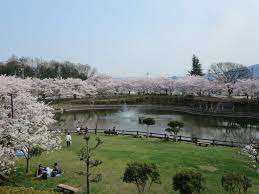 公園　府中公園（公園）まで660m