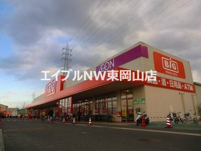 スーパー　ザ・ビッグ奥田南店（スーパー）まで655m