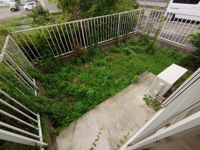 庭