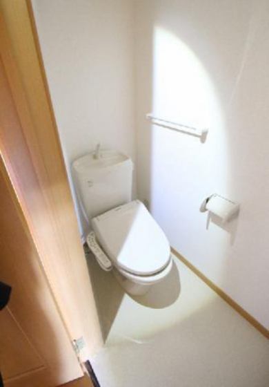トイレ　※他号室の写真です