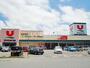 スーパー　株式会社ユニバース ユニバース 東青森店（スーパー）まで1131m