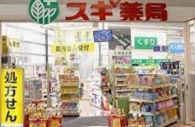 ドラックストア　スギ薬局成増駅南口店（ドラッグストア）まで380m