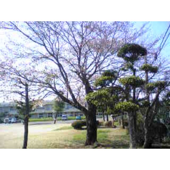 小学校　土浦市立荒川沖小学校（小学校）まで830m