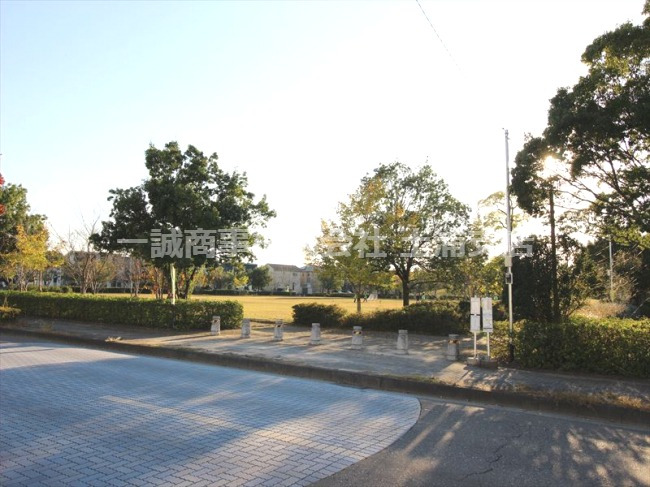 公園　樫の木公園（公園）まで299m