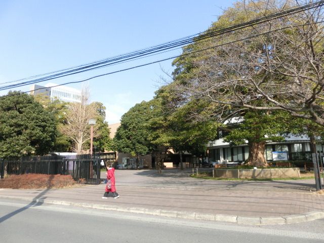 その他　淑徳大学（その他）まで1200m