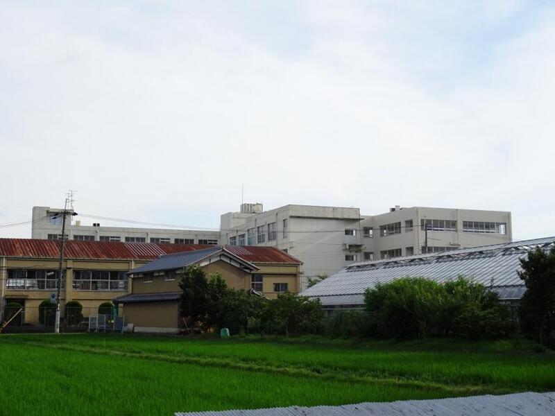 小学校　高槻市立郡家小学校（小学校）まで893m