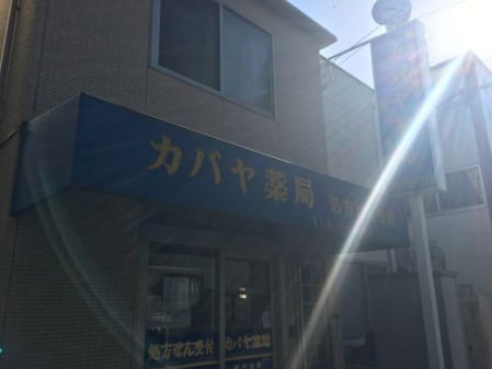 ドラックストア　カバヤ薬局　坂戸本店（ドラッグストア）まで208m