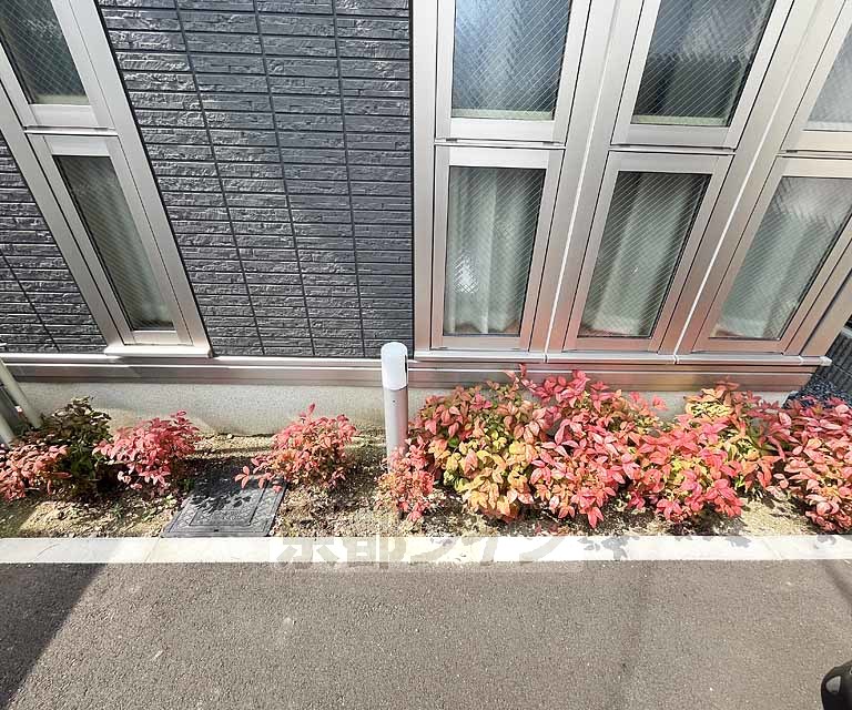 庭