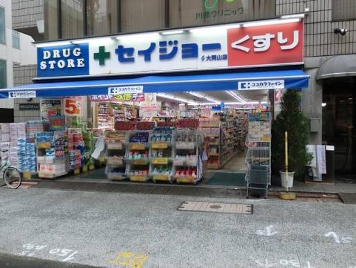 ドラックストア　ココカラファイン大岡山店（ドラッグストア）まで219m