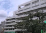 小学校　千代田区立和泉小学校（小学校）まで531m