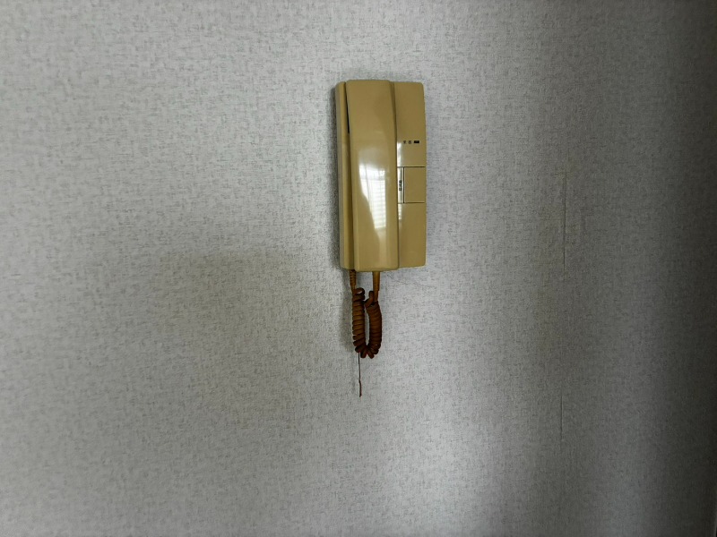 3Cネストオオトリのその他写真
