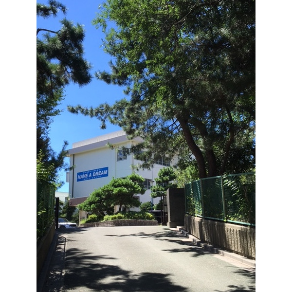 中学校　船橋市立宮本中学校（中学校）まで1316m