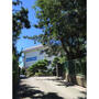 中学校　船橋市立宮本中学校（中学校）まで1316m