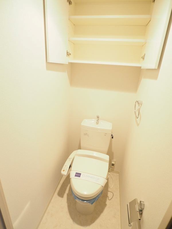 レジディア文京音羽IIのトイレ写真