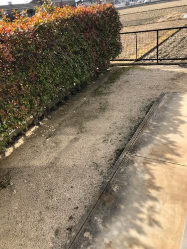 庭　専用庭