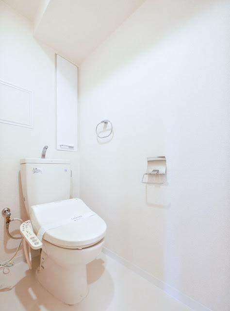 ラ・サンテ五反田のトイレ写真