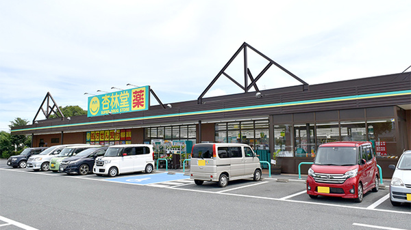 ドラックストア　杏林堂ドラッグストア 上島駅前店（ドラッグストア）まで431m