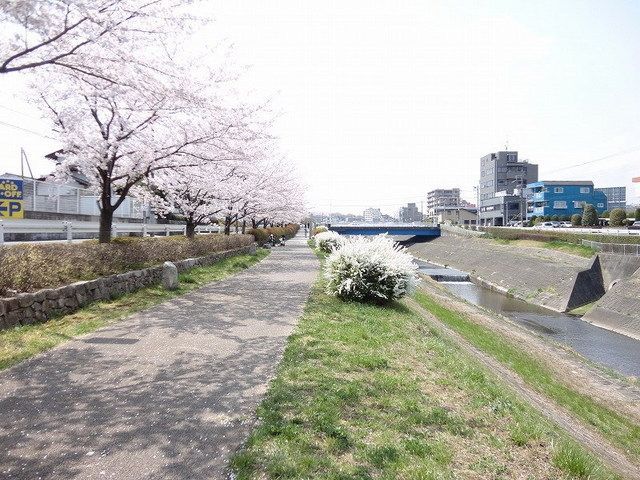 その他　大栗川（その他）まで20m