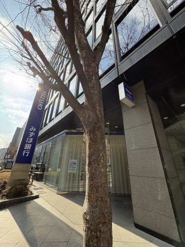 銀行　みずほのアトリエ神谷町（銀行）まで455m