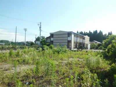 その他　郊外の静かな場所に立地しています。