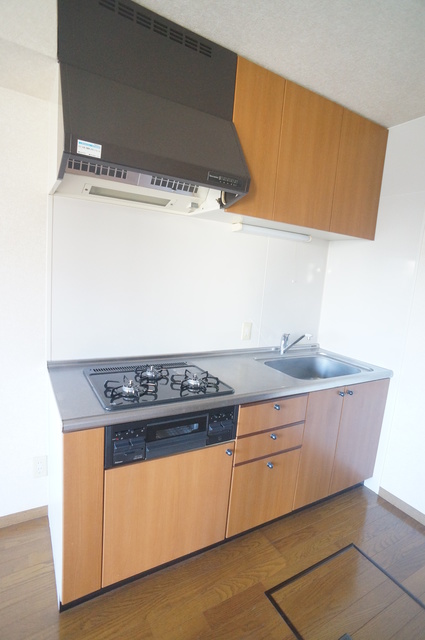 キッチン　お料理好きにはオススメのグリル付３口システムキッチン設置済♪