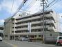 東比恵駅より徒歩9分 5階 築37年11ヶ月の賃貸物件