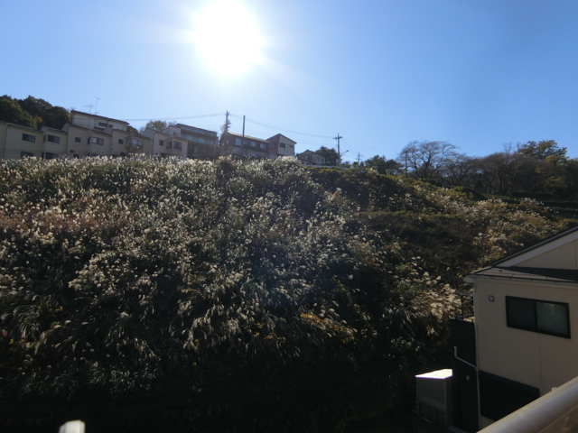 眺望　駐車場が目の前にあり、開放感があります