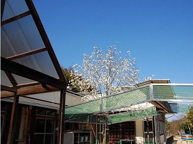 幼稚園・保育園　中山保育園（幼稚園・保育園）まで240m