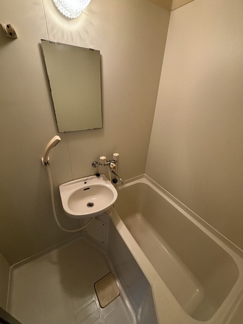 バス・シャワールーム　別部屋参考写真です