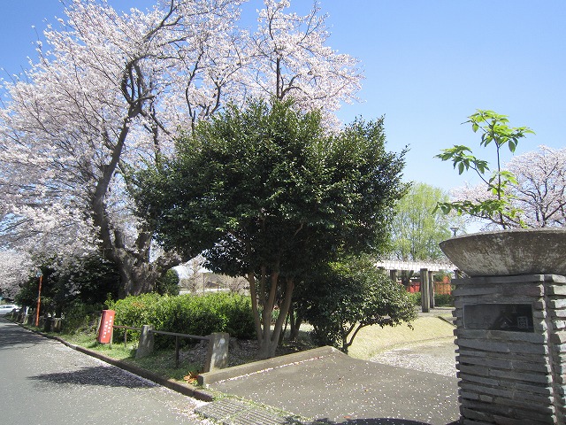 公園　上原公園（公園）まで280m