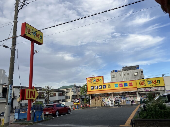 ドラックストア　どらっぐぱぱす柴又3丁目店（ドラッグストア）まで359m
