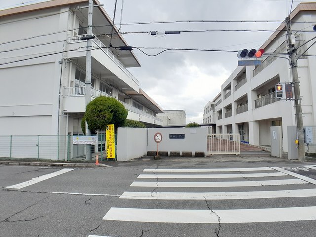 小学校　橋本市立隅田小学校（小学校）まで818m