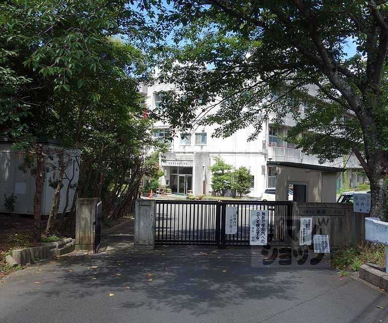 小学校　城西小学校（小学校）まで500m