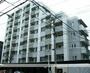 ダイナシティ三宿 6階 築20年1ヶ月の賃貸物件