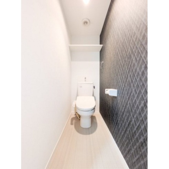 ＪＲ鹿児島本線 竹下駅 徒歩7分 2階建 築13年のトイレ写真